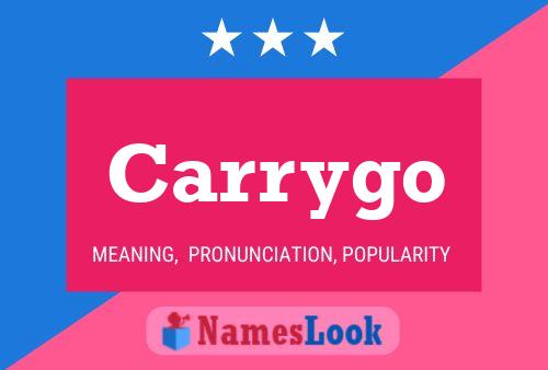 ملصق اسم Carrygo