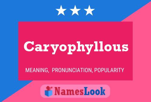 ملصق اسم Caryophyllous