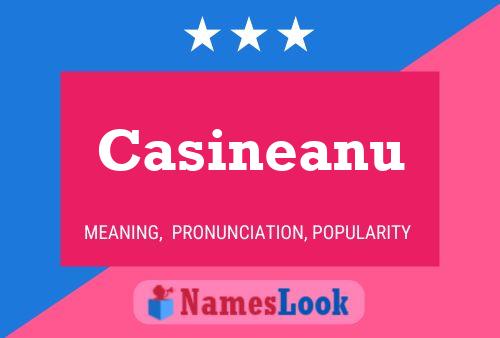 ملصق اسم Casineanu