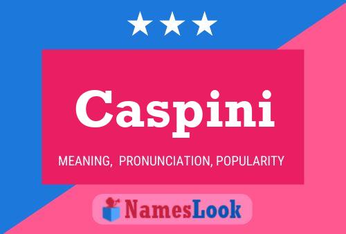 ملصق اسم Caspini