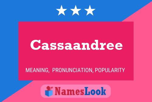 ملصق اسم Cassaandree