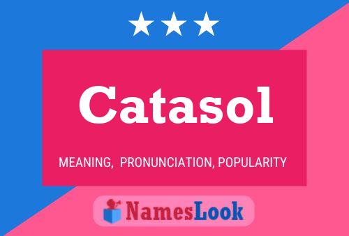 ملصق اسم Catasol