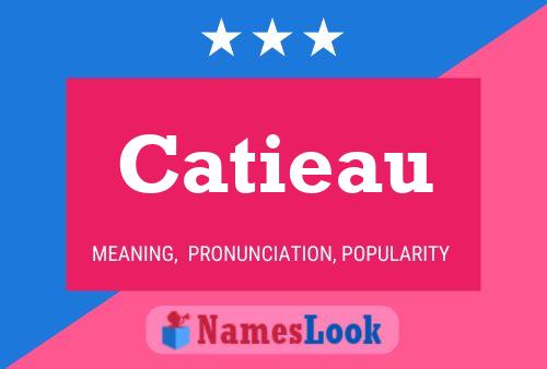 ملصق اسم Catieau