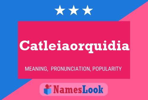 ملصق اسم Catleiaorquidia