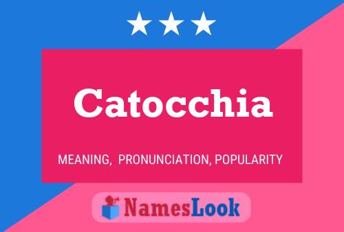 ملصق اسم Catocchia