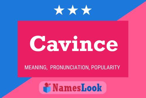 ملصق اسم Cavince