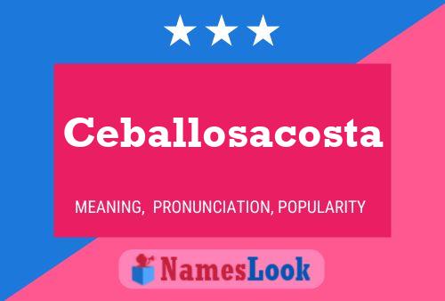 ملصق اسم Ceballosacosta