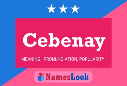 ملصق اسم Cebenay