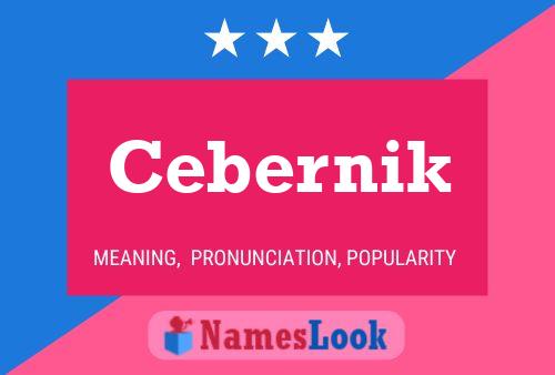 ملصق اسم Cebernik