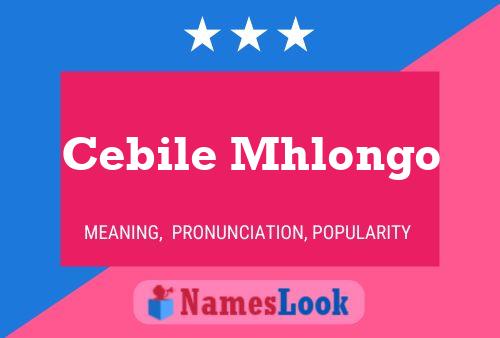 ملصق اسم Cebile Mhlongo