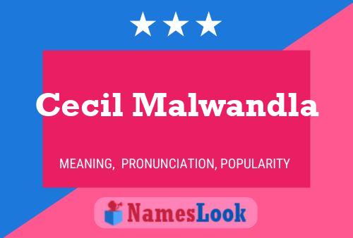 ملصق اسم Cecil Malwandla