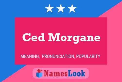 ملصق اسم Ced Morgane