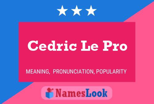 ملصق اسم Cedric Le Pro