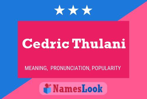 ملصق اسم Cedric Thulani