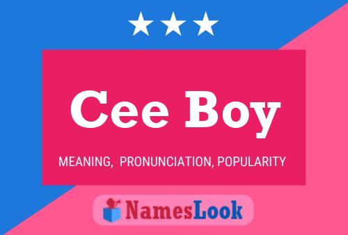 ملصق اسم Cee Boy