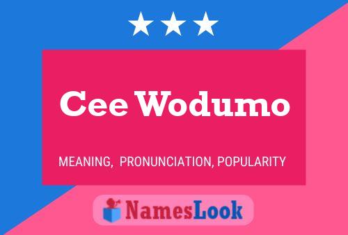 ملصق اسم Cee Wodumo