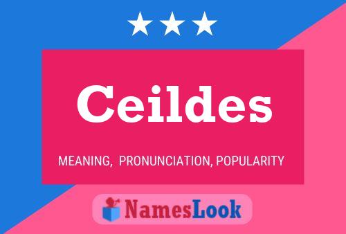 ملصق اسم Ceildes