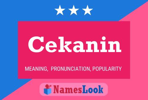 ملصق اسم Cekanin