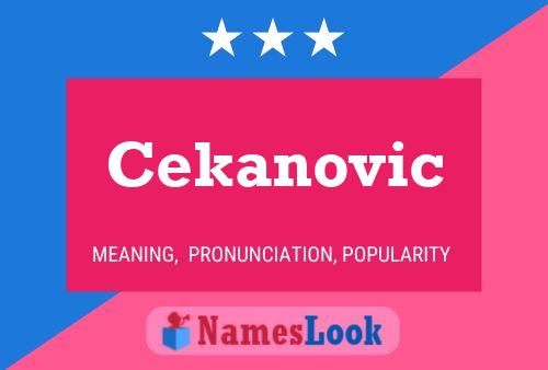 ملصق اسم Cekanovic