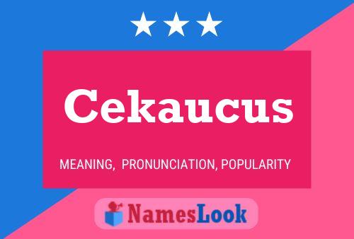 ملصق اسم Cekaucus