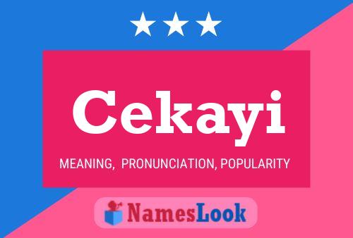 ملصق اسم Cekayi