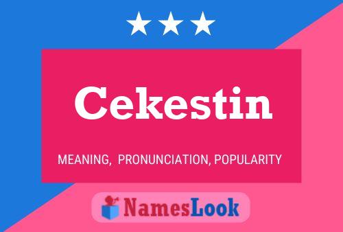 ملصق اسم Cekestin