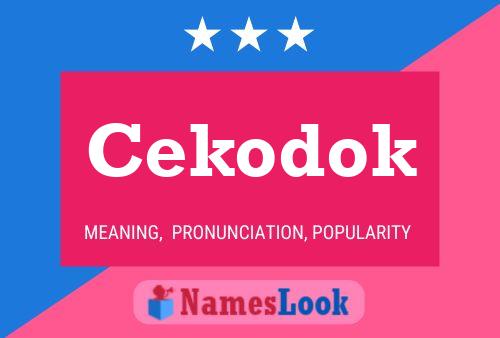 ملصق اسم Cekodok