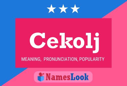 ملصق اسم Cekolj