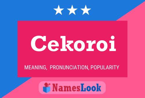 ملصق اسم Cekoroi