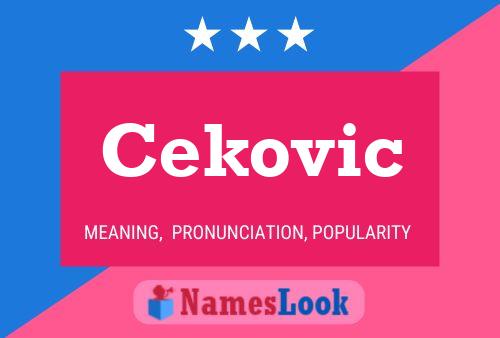 ملصق اسم Cekovic