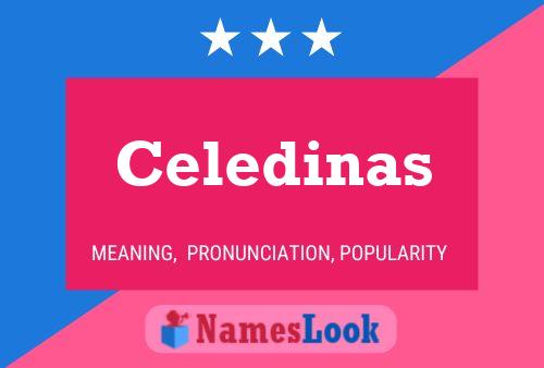 ملصق اسم Celedinas