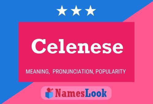 ملصق اسم Celenese