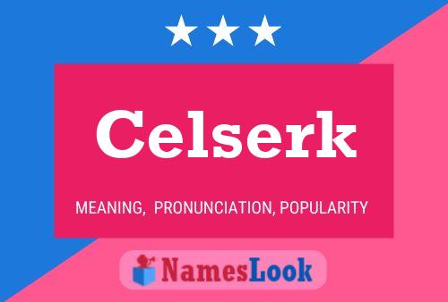 ملصق اسم Celserk