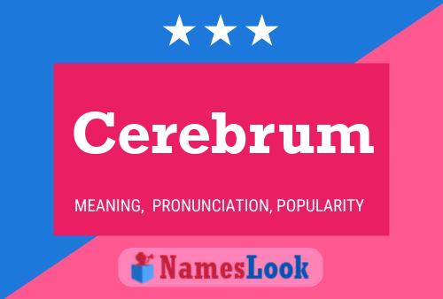 ملصق اسم Cerebrum