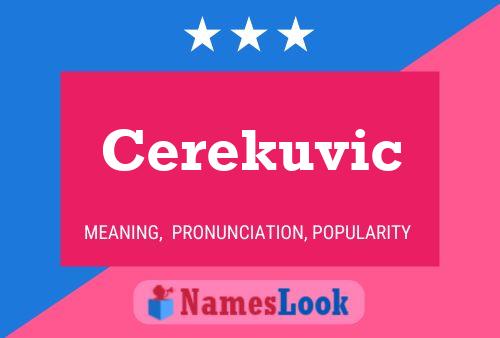 ملصق اسم Cerekuvic