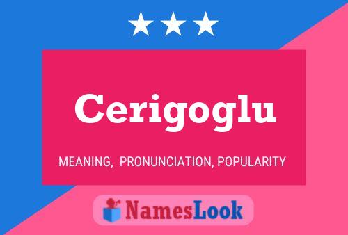 ملصق اسم Cerigoglu