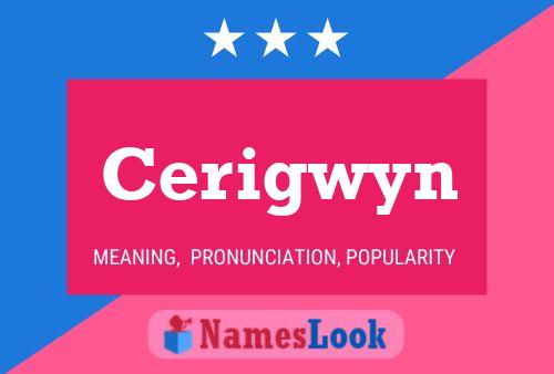 ملصق اسم Cerigwyn