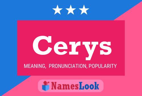 ملصق اسم Cerys