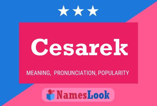 ملصق اسم Cesarek