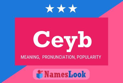 ملصق اسم Ceyb