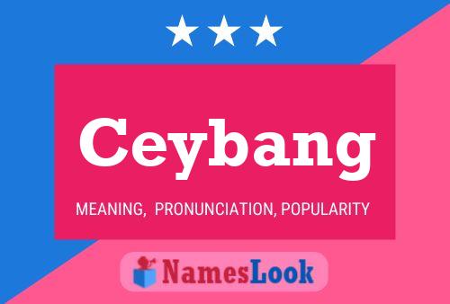 ملصق اسم Ceybang