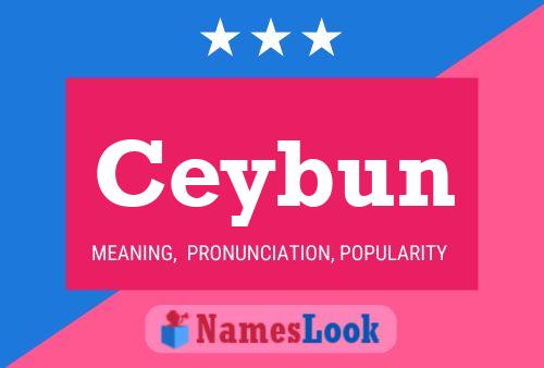 ملصق اسم Ceybun