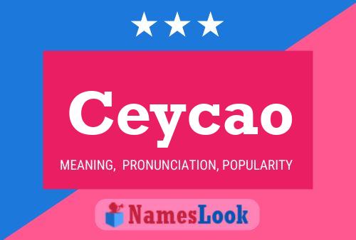 ملصق اسم Ceycao