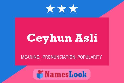 ملصق اسم Ceyhun Asli