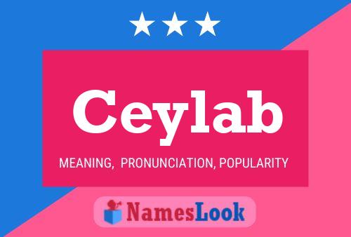 ملصق اسم Ceylab