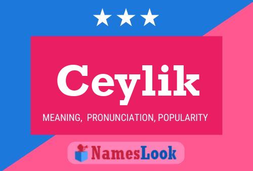 ملصق اسم Ceylik