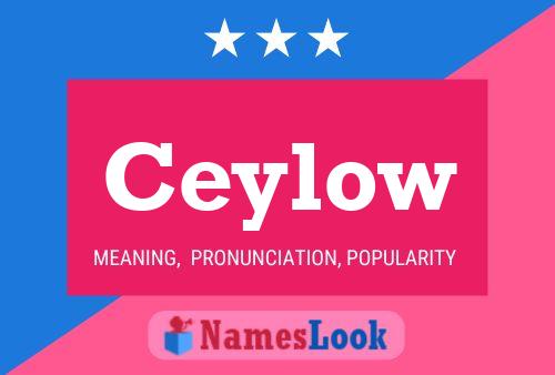 ملصق اسم Ceylow