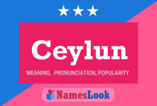 ملصق اسم Ceylun