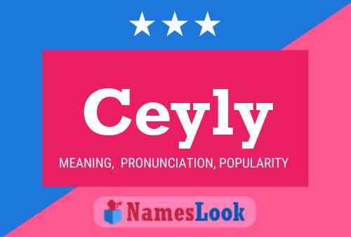 ملصق اسم Ceyly