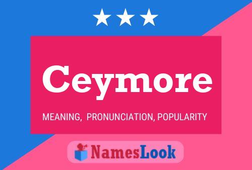 ملصق اسم Ceymore